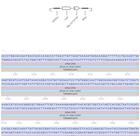 csgA imported and annotated in Kernel
