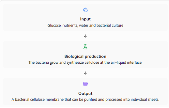 Biomanufacturing process