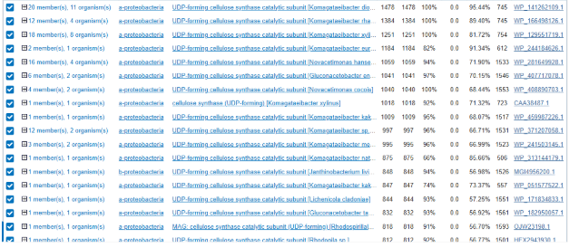 BLASTp results for the BcsA cellulose synthase catalytic subunit.