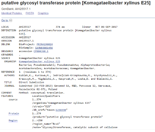 NCBI record for the BcsA cellulose synthase catalytic subunit from Komagataeibacter xylinus E25.