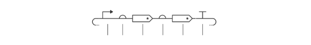 Schematic of the assembled BcsA-BcsB expression cassette.