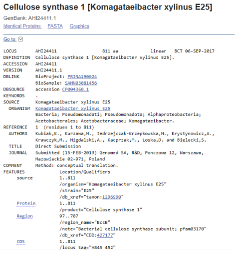NCBI record for the BcsB cellulose synthase subunit from Komagataeibacter xylinus E25.