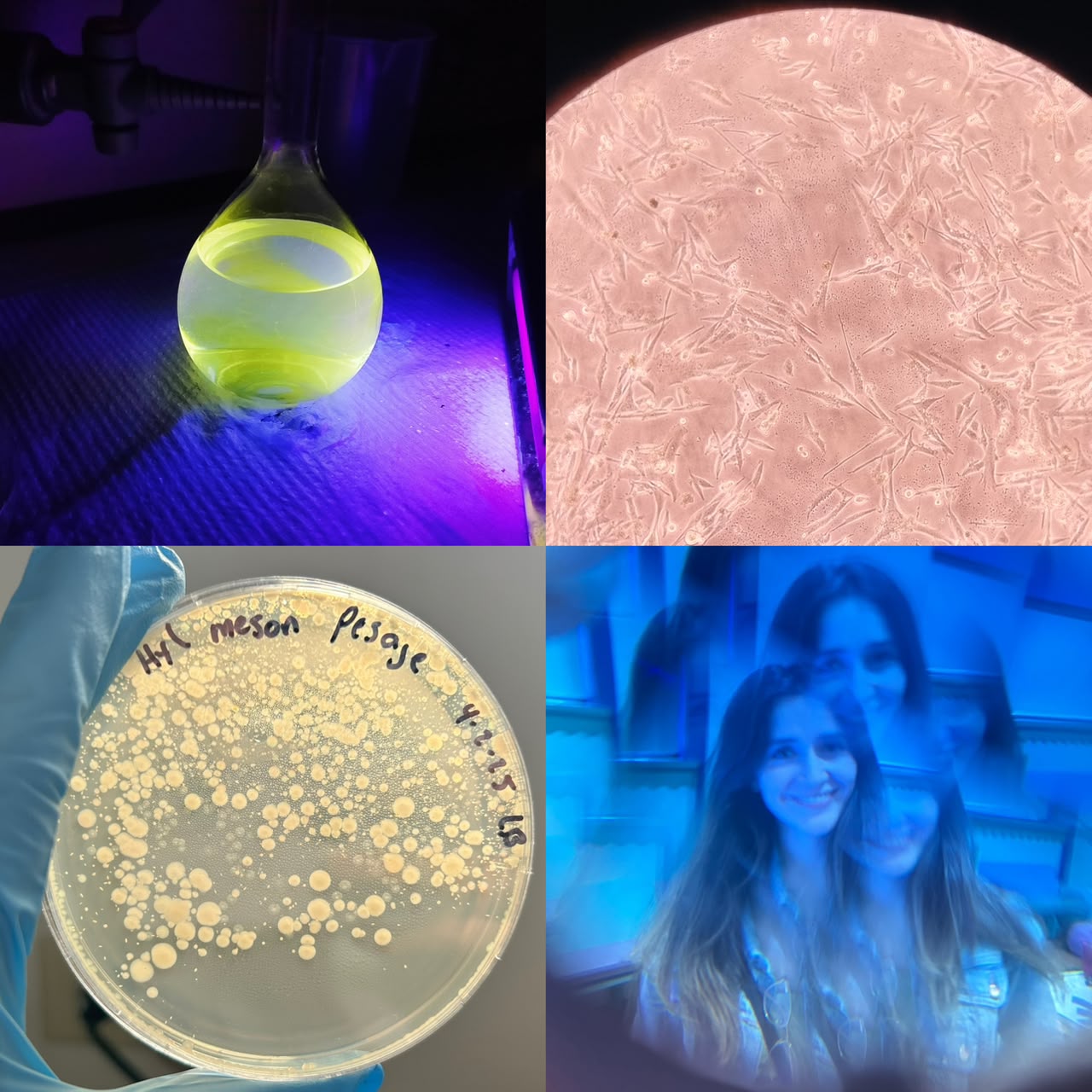 Lina in the lab