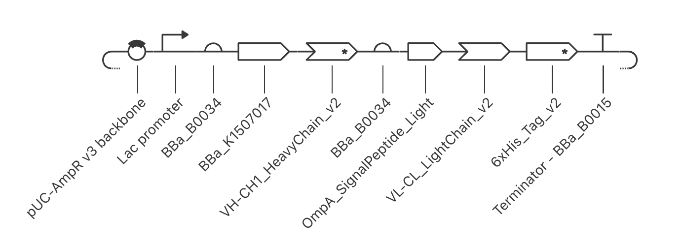 Construct schematic