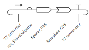 Reteplase Circuit
