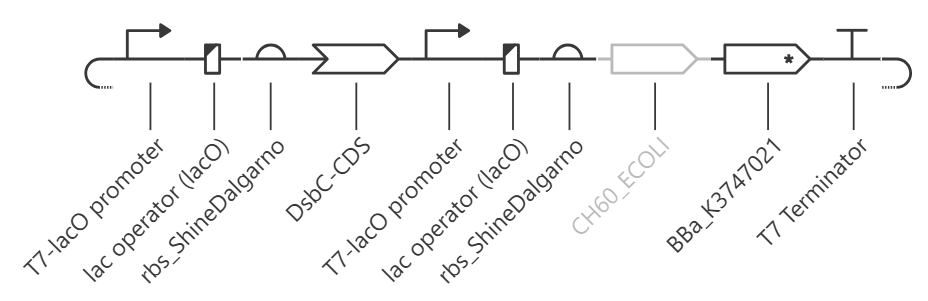 T7 Helper Plasmid