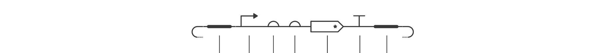 Actual Kernel-exported schematic of the RootGuard v2 construct
