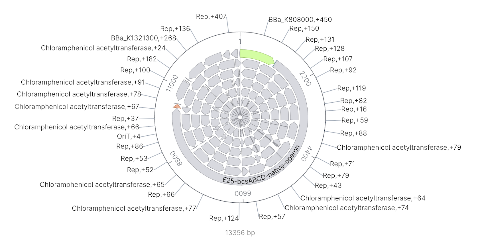 Kernel circular map of the complete Homework 2 construct