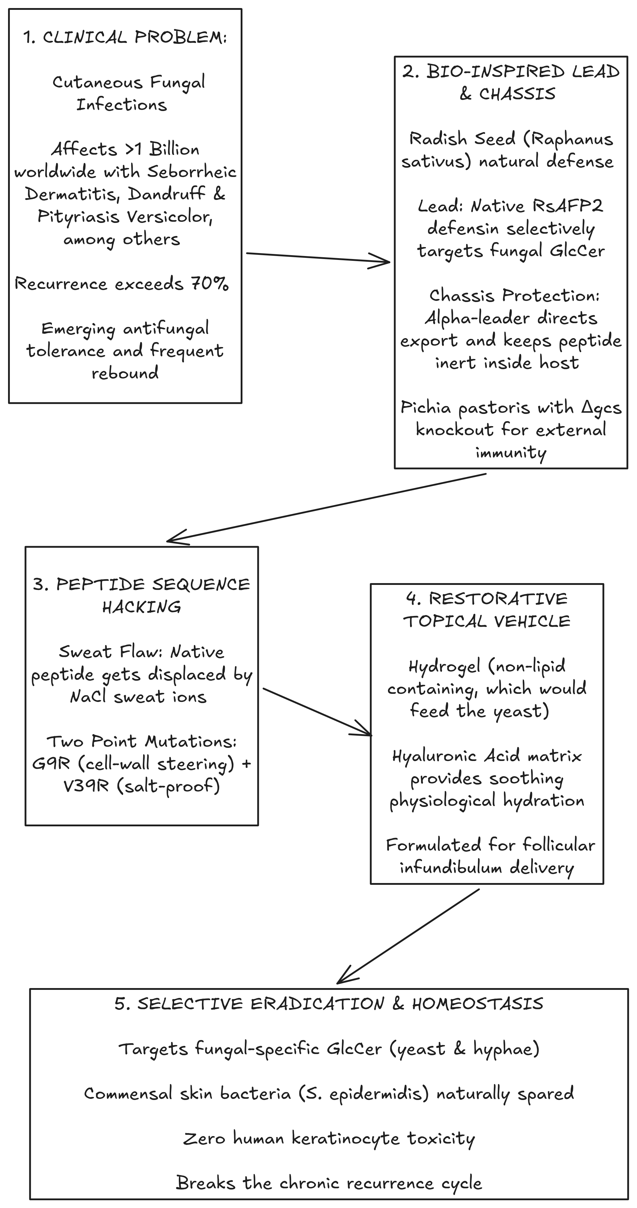Project Overview Diagram