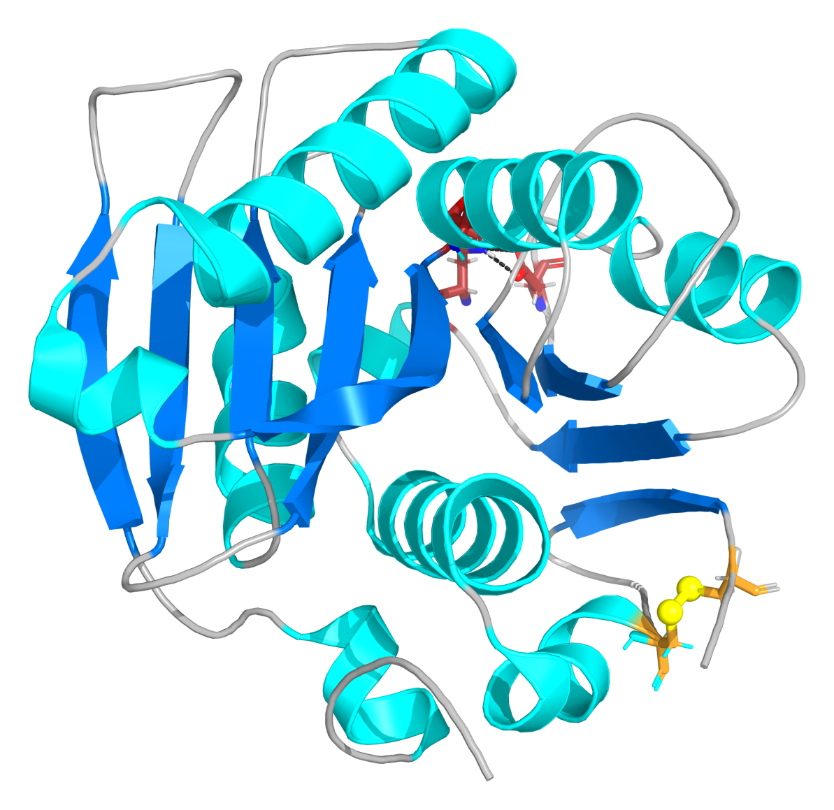 PETase 3D Structure