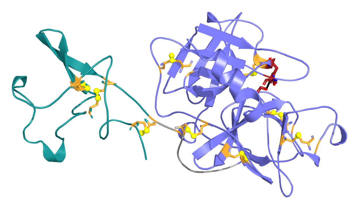 Reteplase 3D Structure