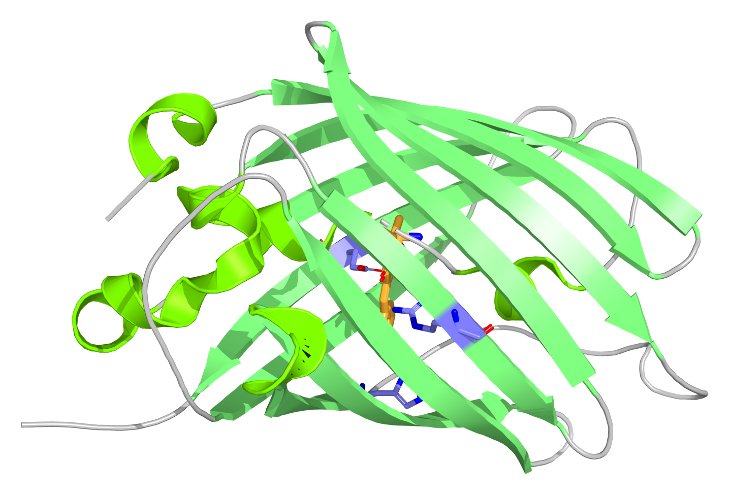 sfGFP 3D Structure