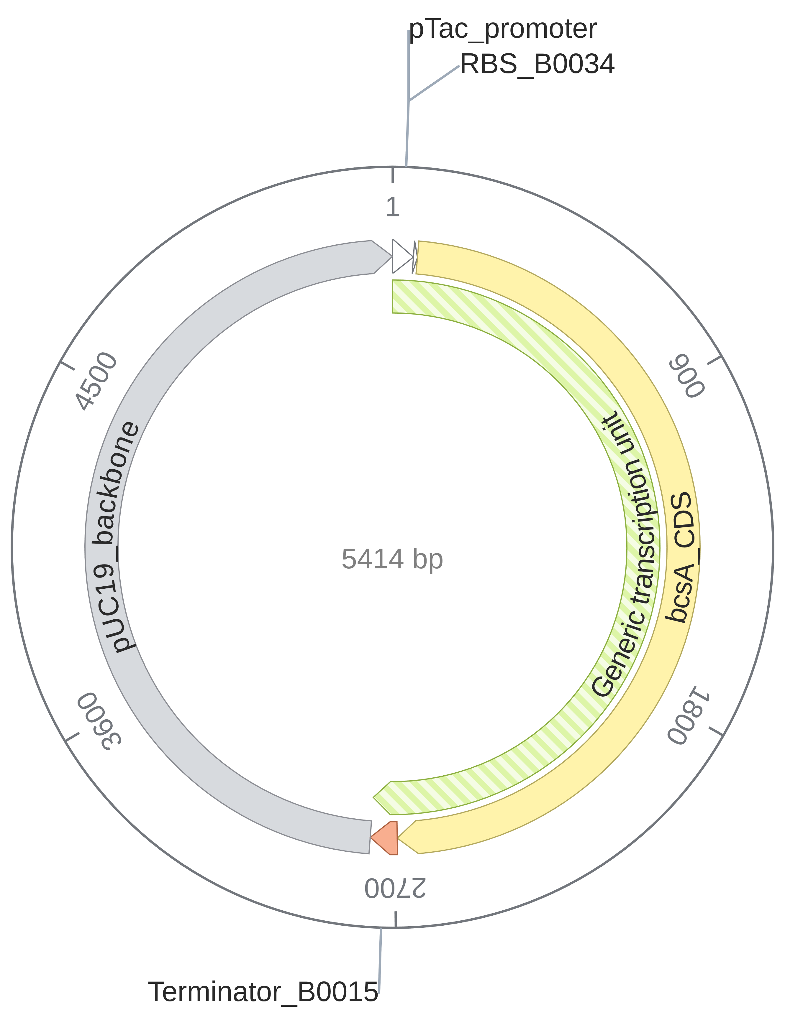Assembled Plasmid Map