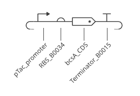 Construct Linear SBOL Schematic