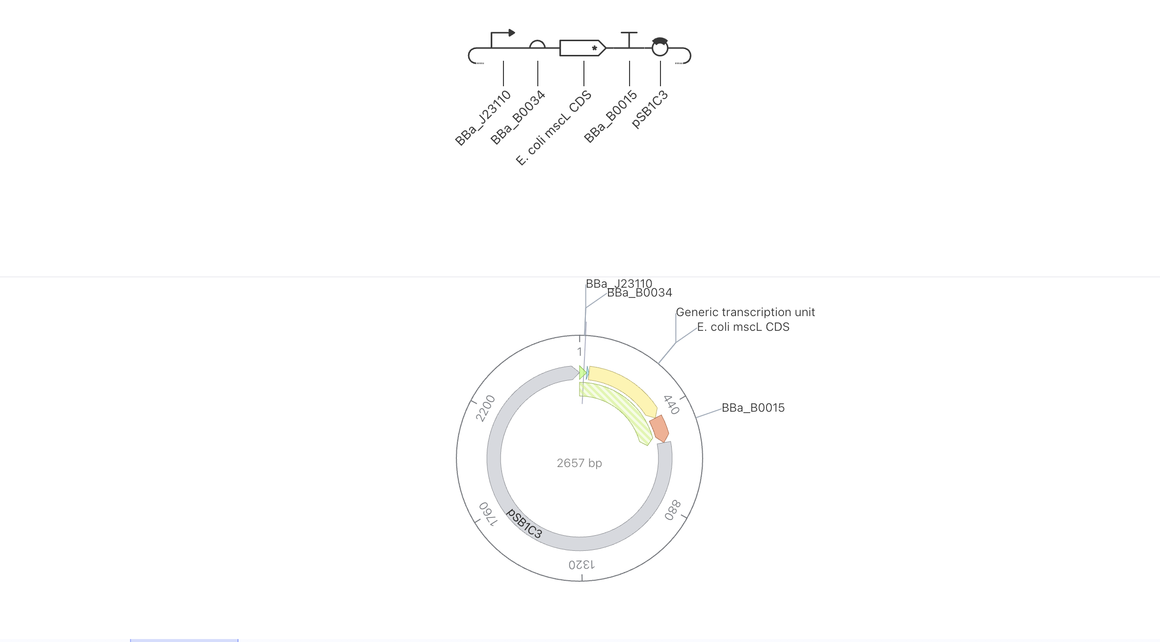 Circular View