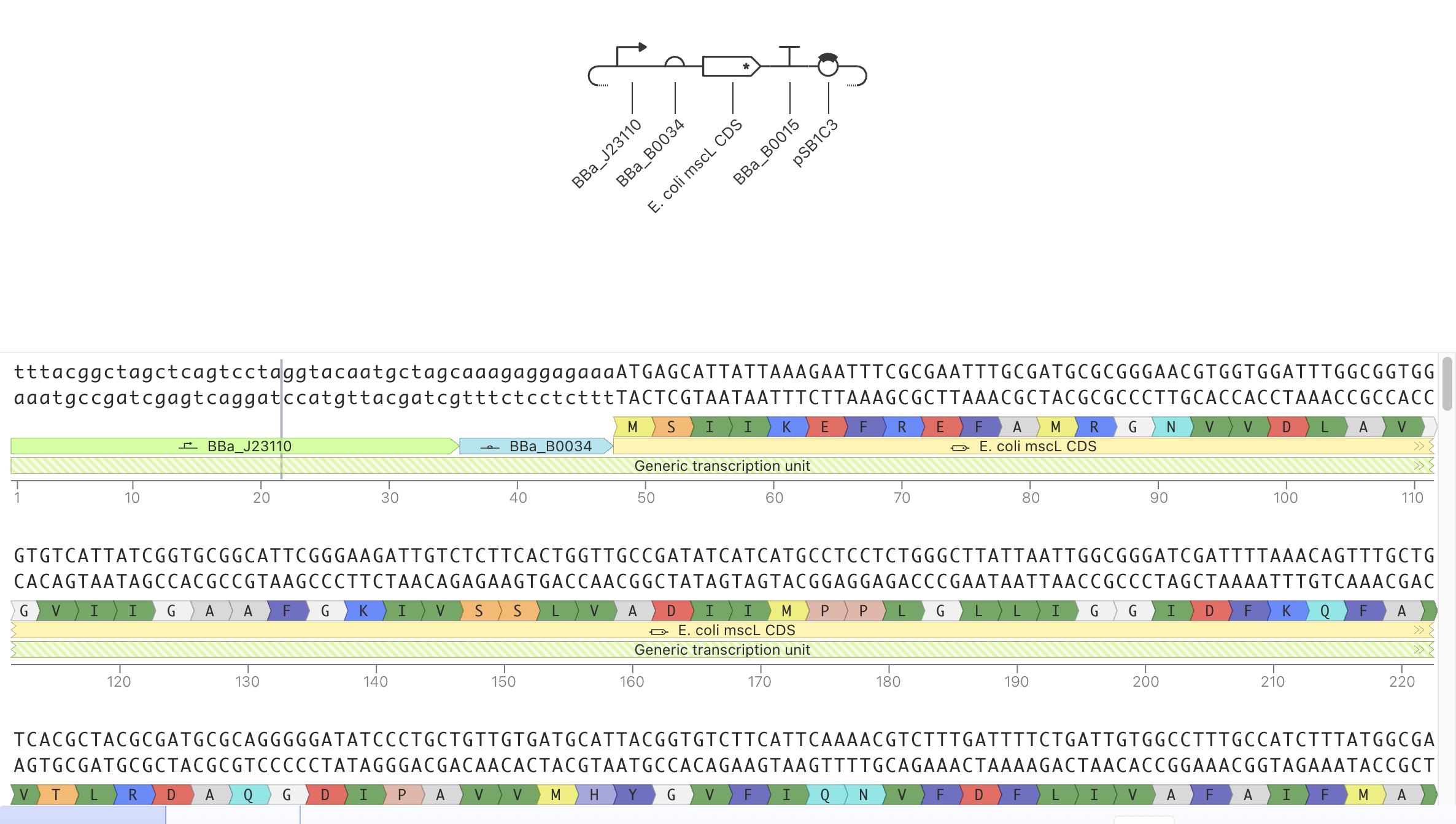 Sequence View
