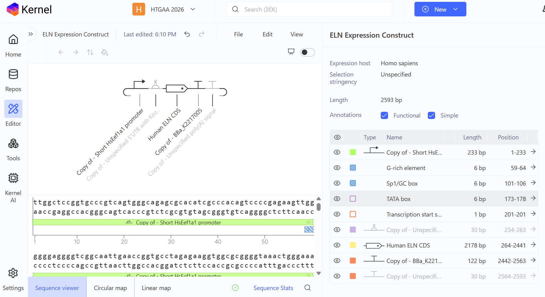 Final ELN expression construct