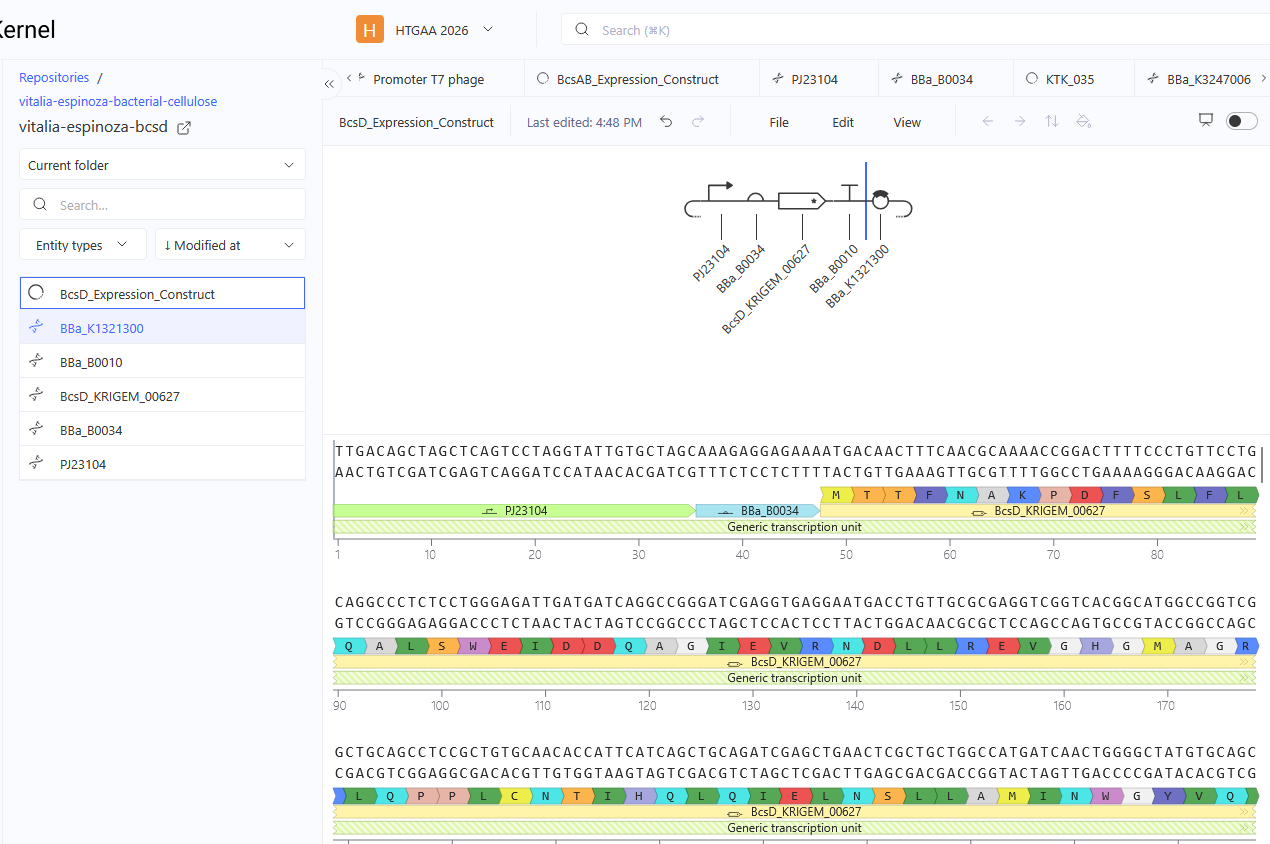 Linear map of the BcsD expression construct