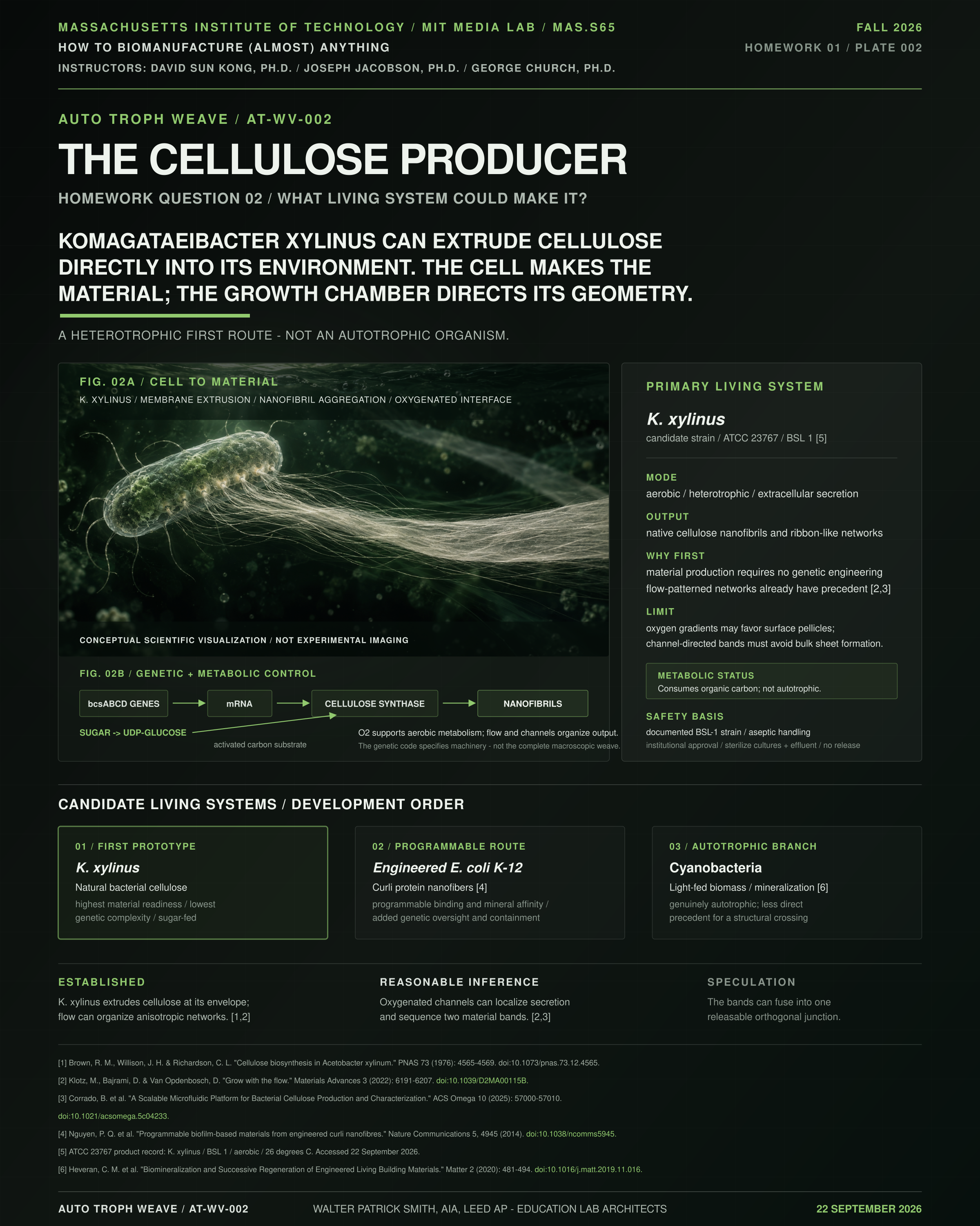 AT-WV-002 — The Cellulose Producer