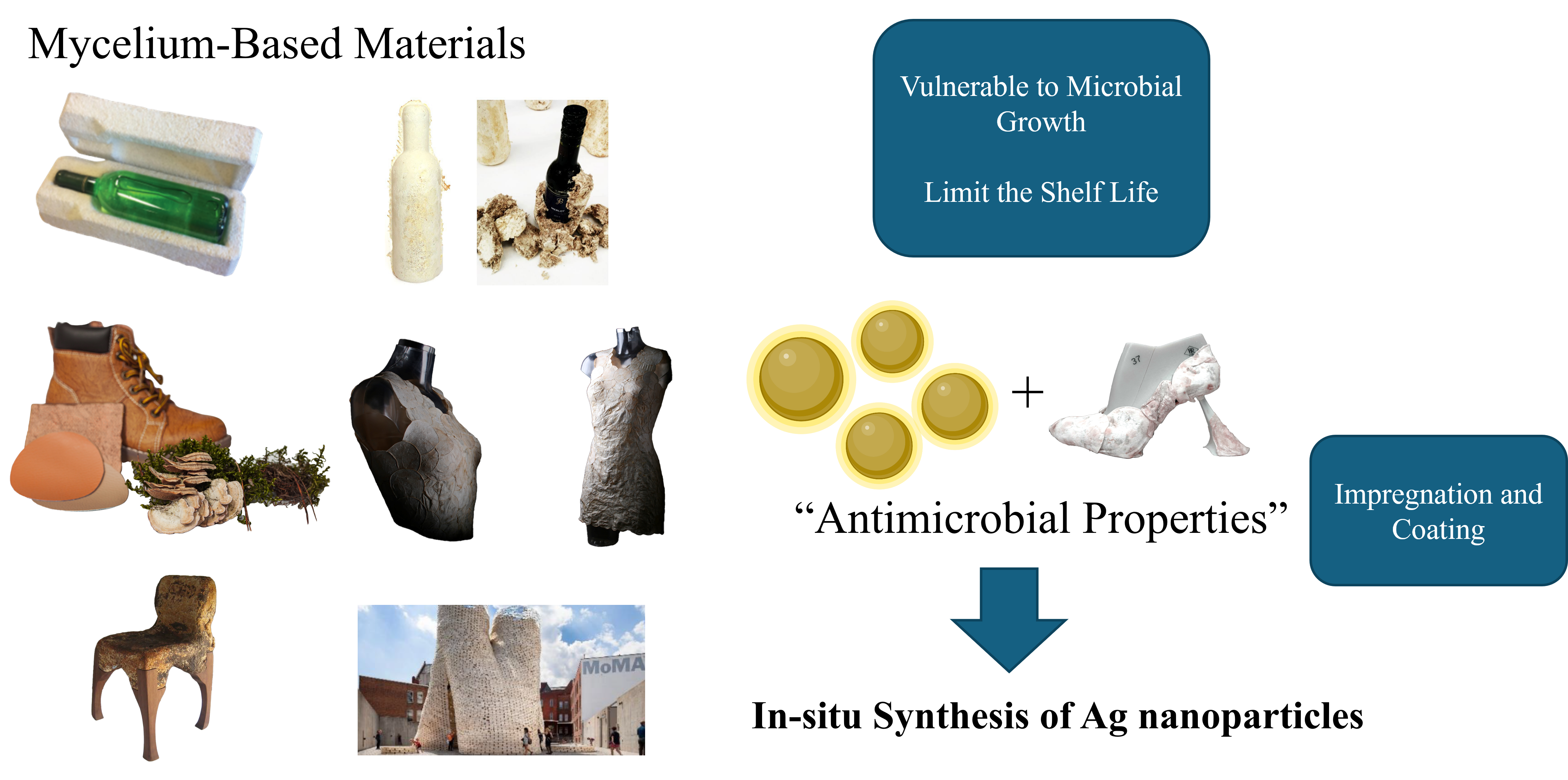 Mycelium antimicrobial concept