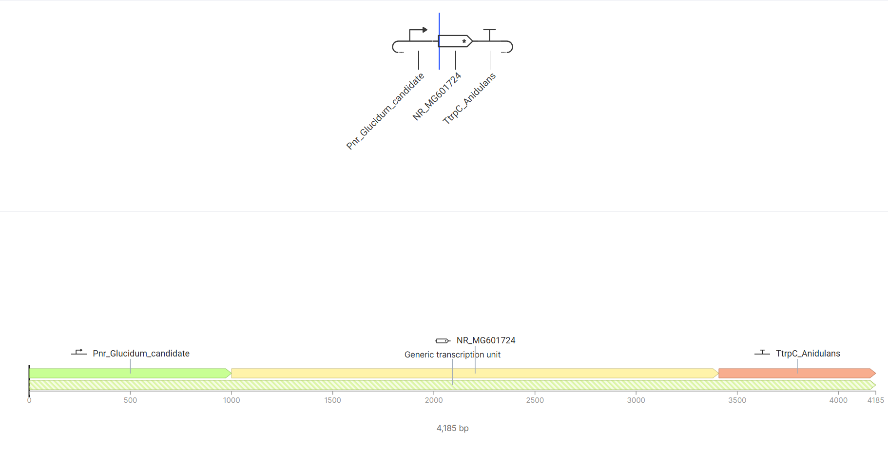 Kernel linear map
