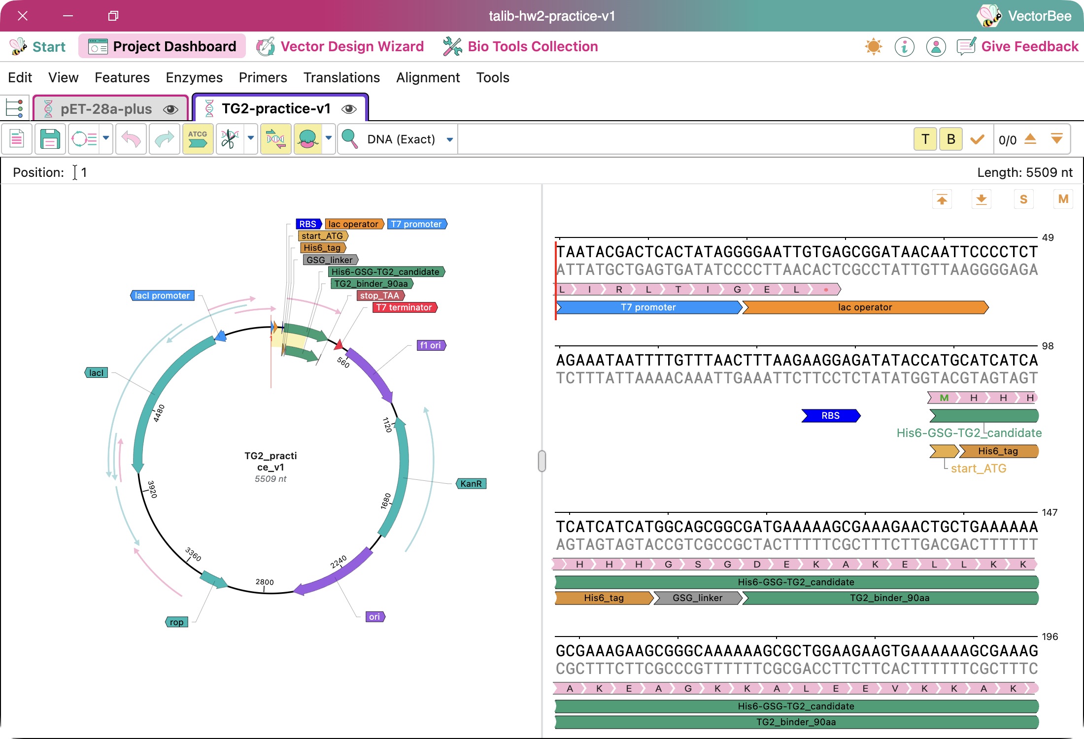 VectorBee construct overview
