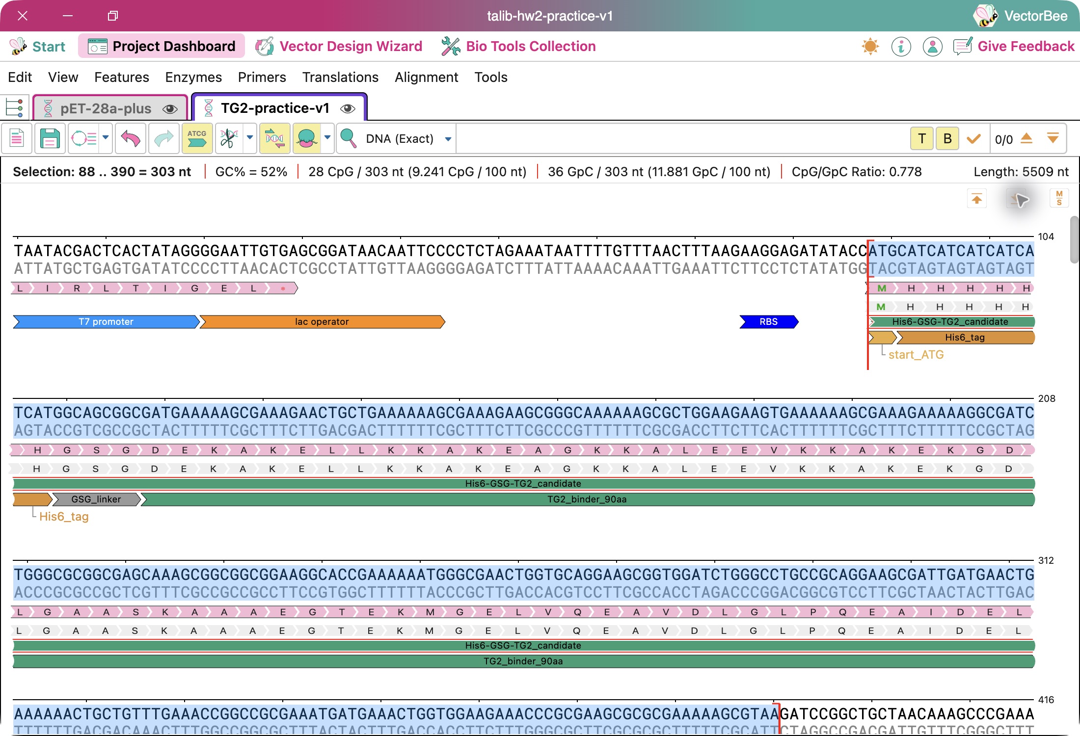 Coding sequence and translation