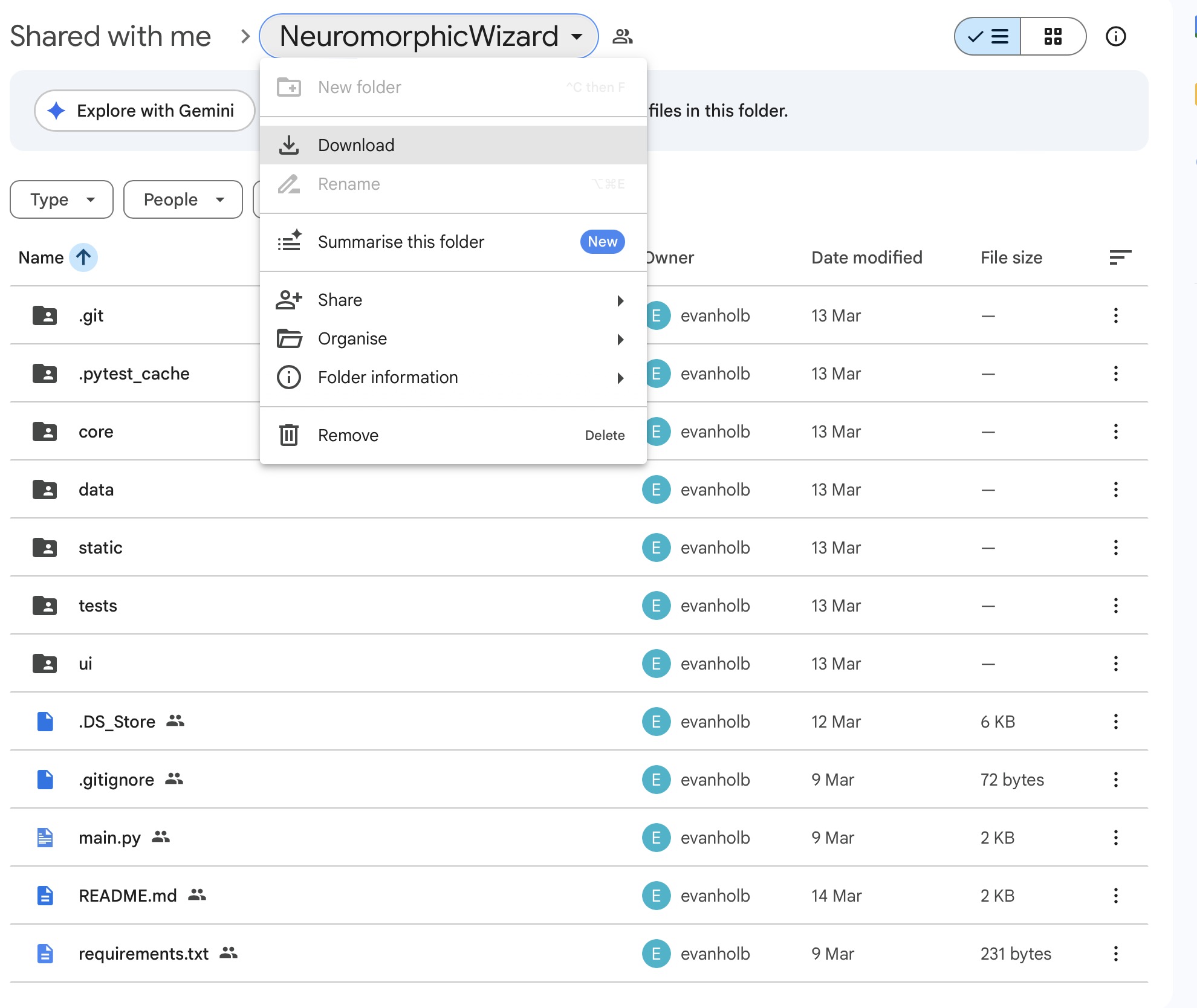 Neuromorphic Wizard Google Folder