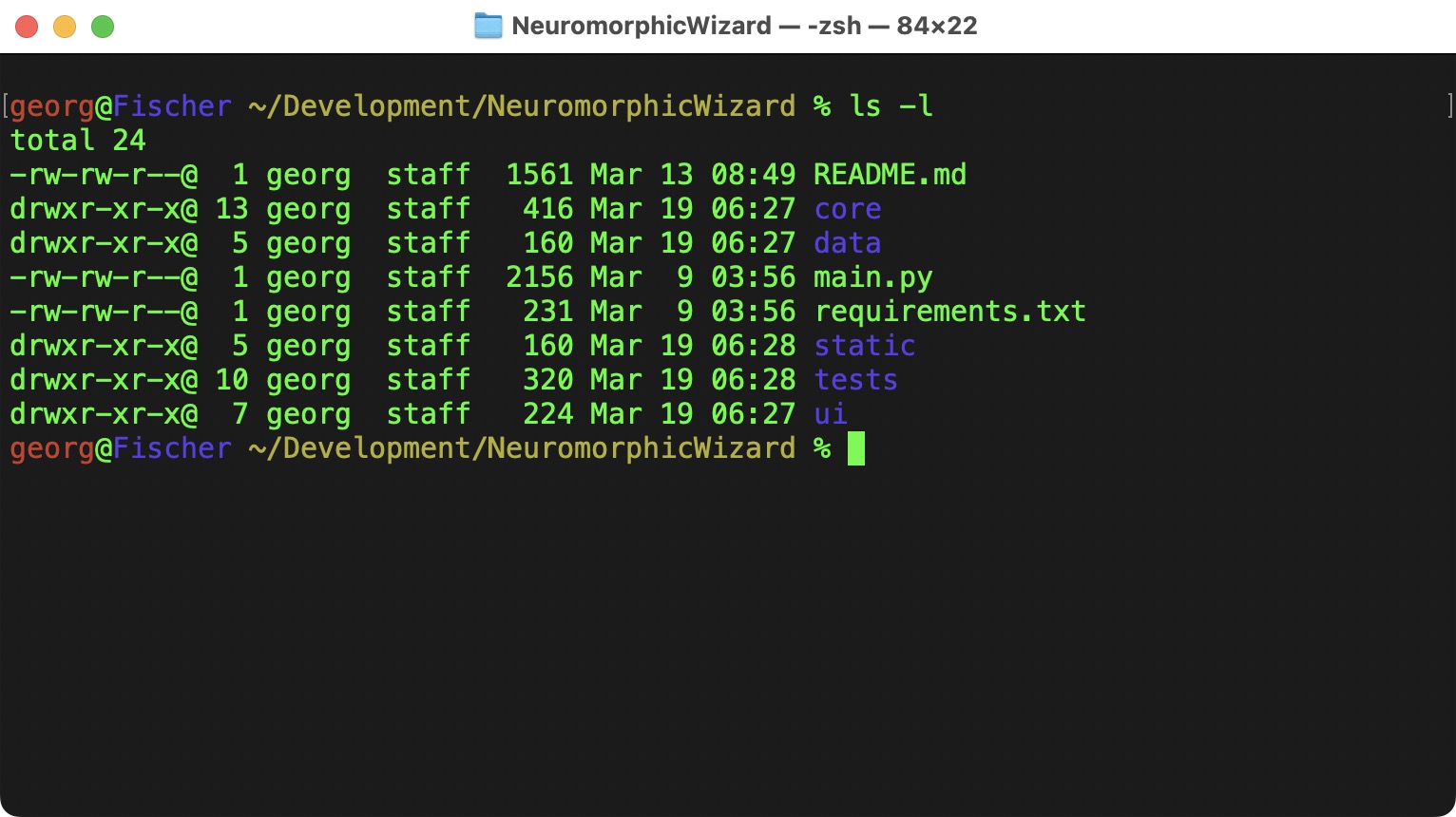Neuromorphic Wizard Local Folder